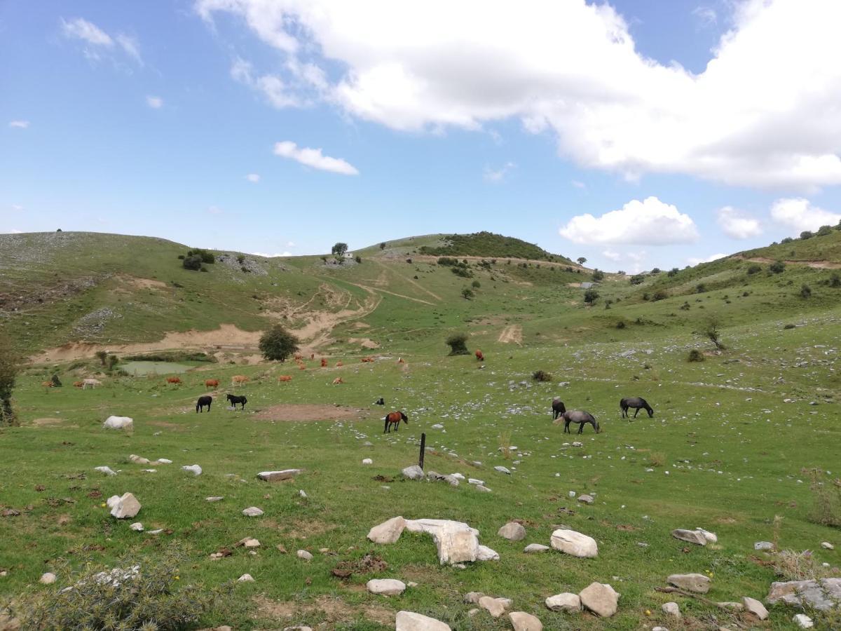 Karia  Olympus Country House מראה חיצוני תמונה
