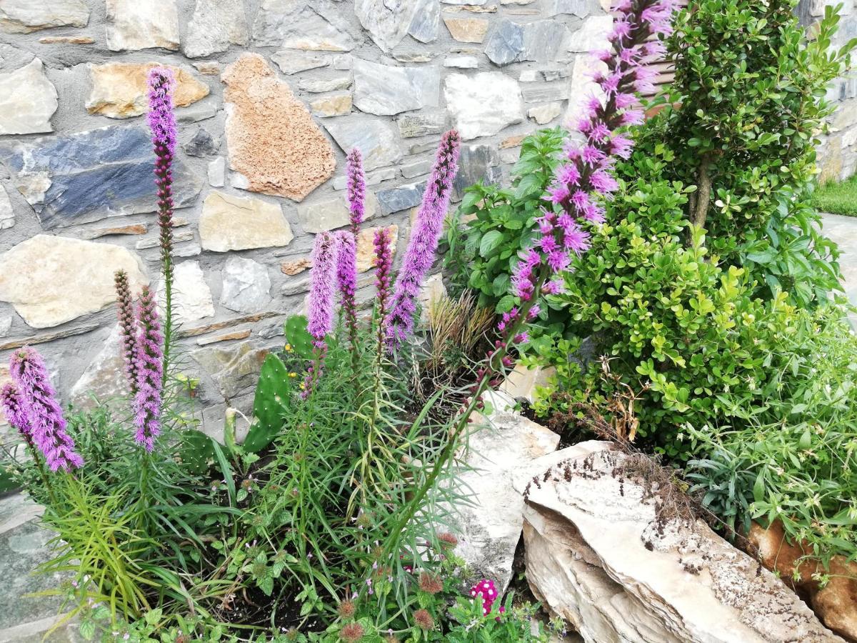 Karia  Olympus Country House מראה חיצוני תמונה
